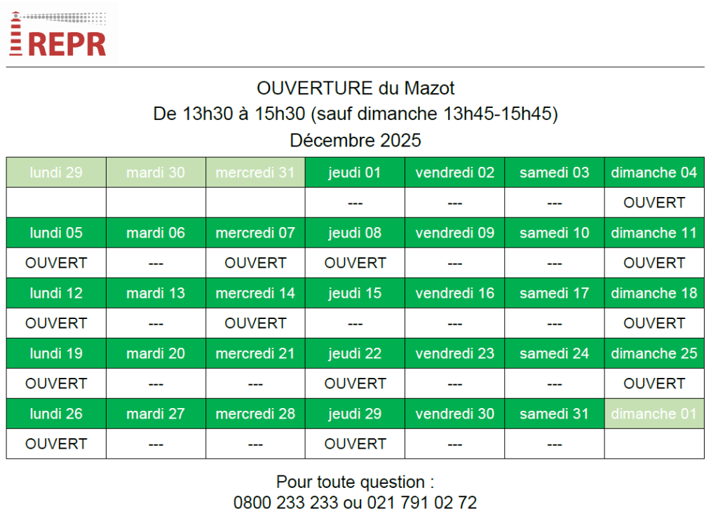 vitrine_mazot_janvier.png